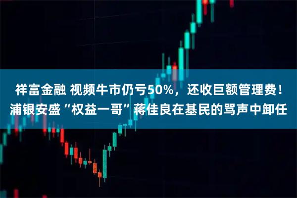 祥富金融 视频牛市仍亏50%，还收巨额管理费！浦银安盛“权益一哥”蒋佳良在基民的骂声中卸任