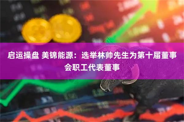 启运操盘 美锦能源：选举林帅先生为第十届董事会职工代表董事